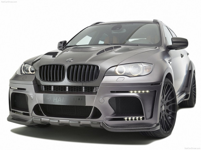 hamann bmw x6 tycoon evo m pic #79315