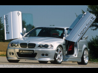 Hamann Laguna Seca II