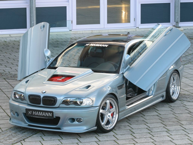 hamann las vegas wings pic #840