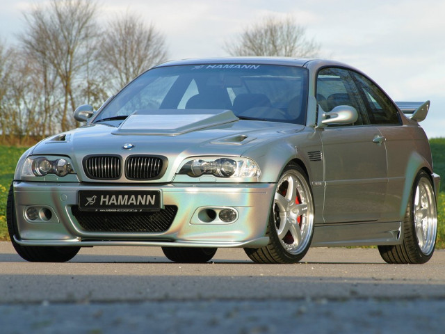 hamann las vegas wings pic #841