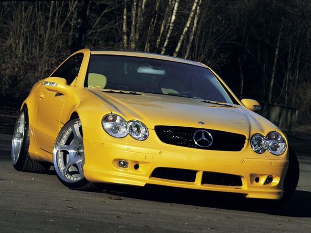 kleemann sl55k pic #939