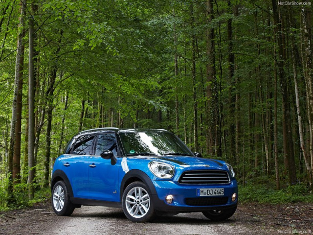 mini countryman pic #100946