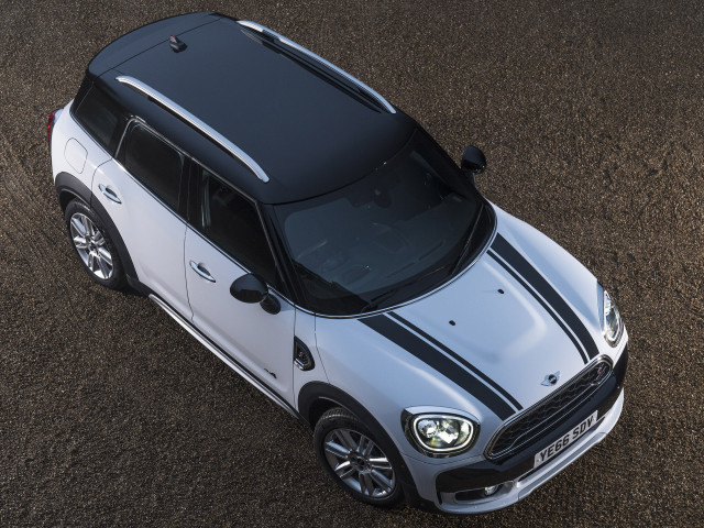 mini countryman pic #174028