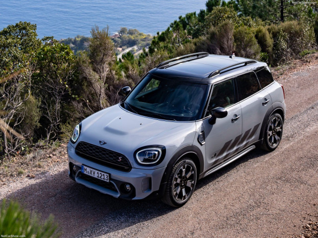 mini countryman pic #202071