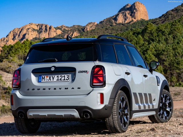 mini countryman pic #202073