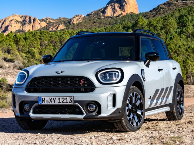 mini countryman pic #202075