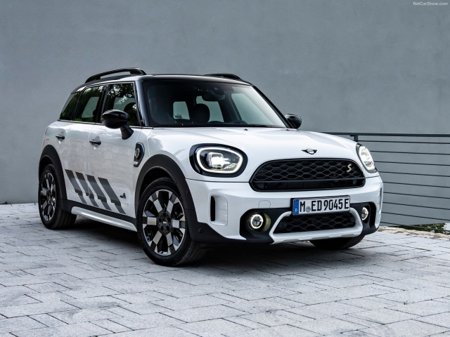 mini countryman pic #202878