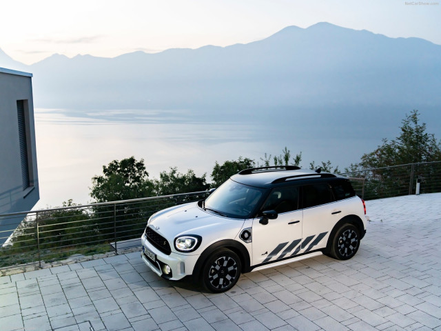 mini countryman pic #202880