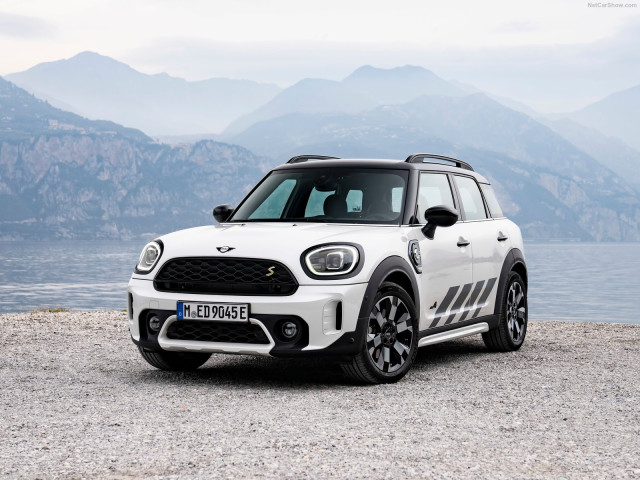 mini countryman pic #202881