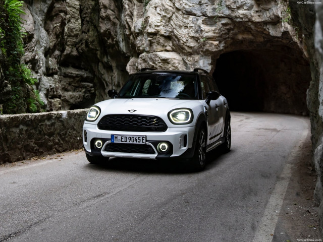 mini countryman pic #202883