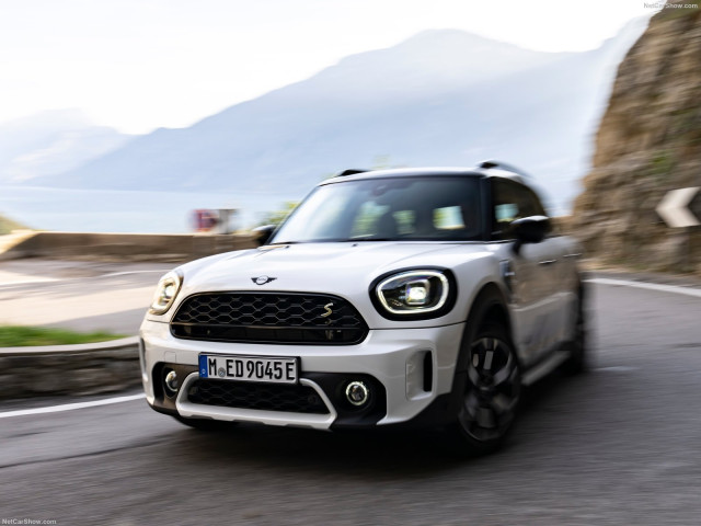 mini countryman pic #202884