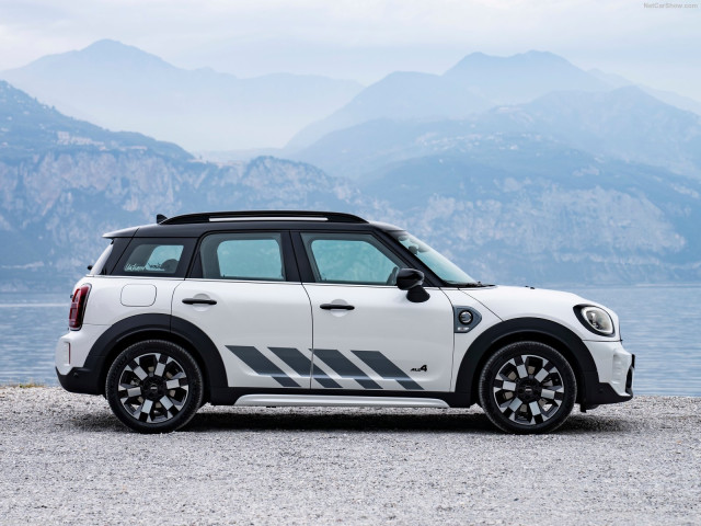 mini countryman pic #202885