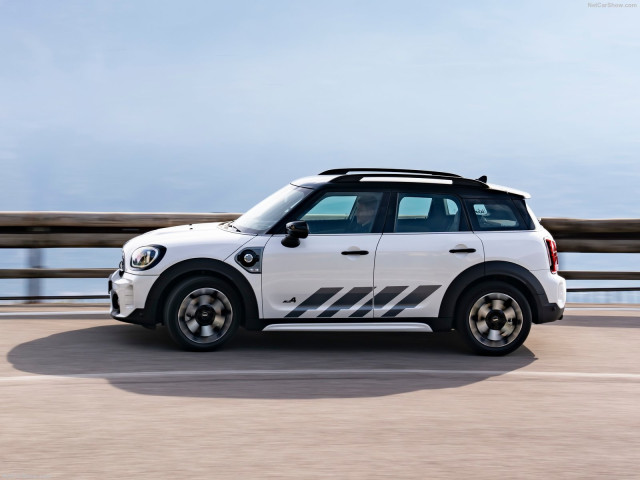 mini countryman pic #202886