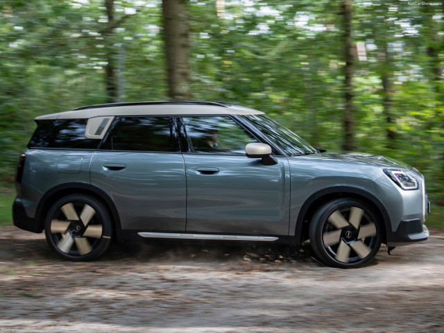 mini countryman pic #204542