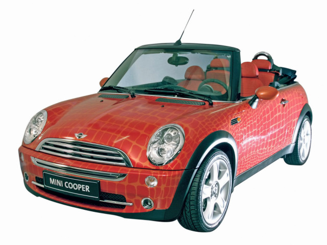 mini cooper convertible pic #5786