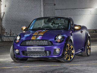 Mini Roadster