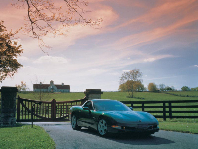 chevrolet corvette pic #4827