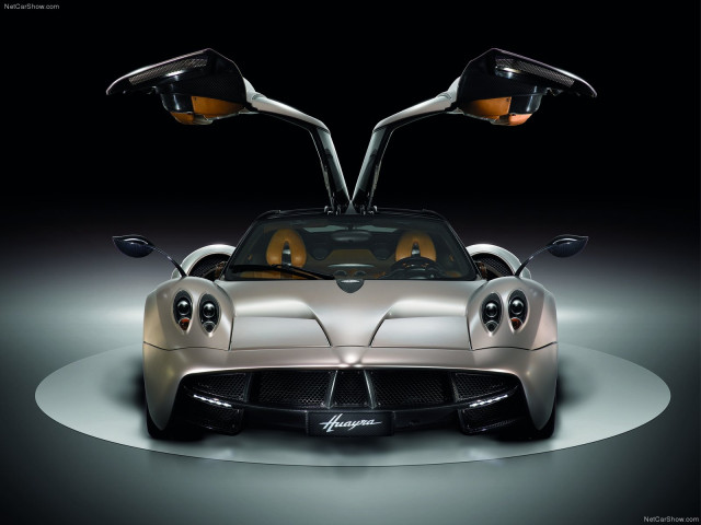 pagani huayra pic #77971