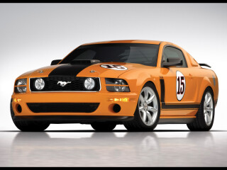 Saleen Mustang S302