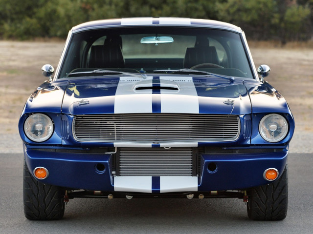 shelby super cars gt350cr pic #105058