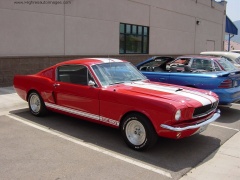 shelby super cars mustang gt350 pic #1230