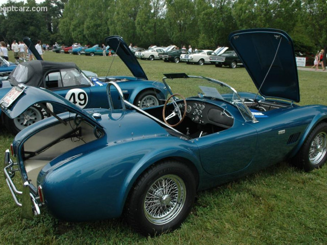 shelby super cars cobra 289 pic #25361