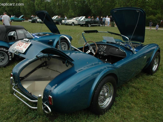 shelby super cars cobra 289 pic #25362