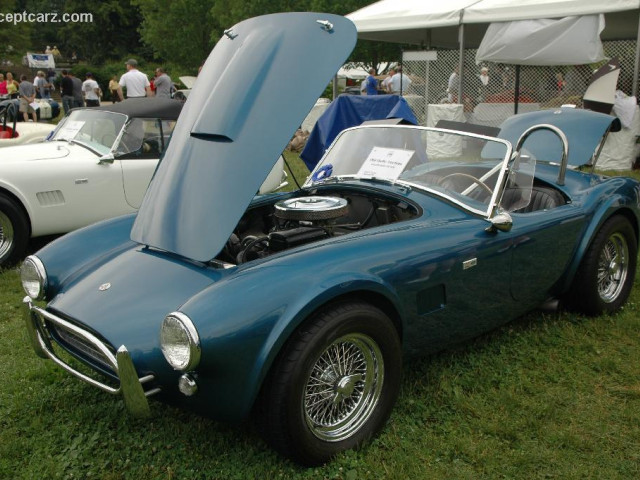 shelby super cars cobra 289 pic #25364