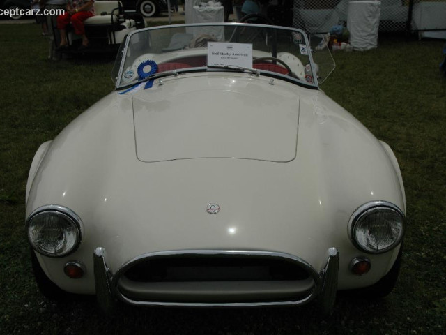 shelby super cars cobra 289 pic #25368