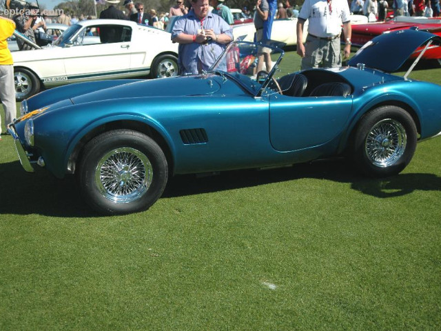 shelby super cars cobra 289 pic #25375