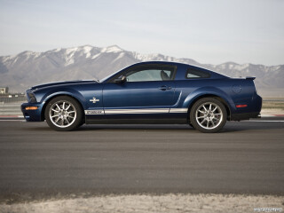 Shelby Super Cars Shelby GT500 KR 40th Anniversary