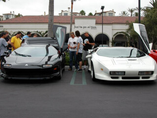 Vector W8