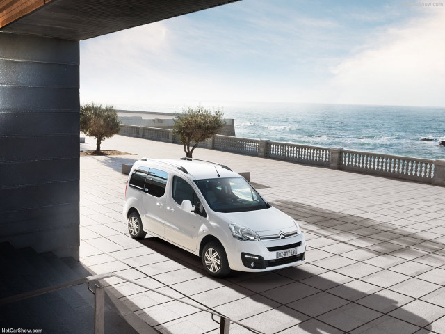 citroen berlingo multispace pic #175890