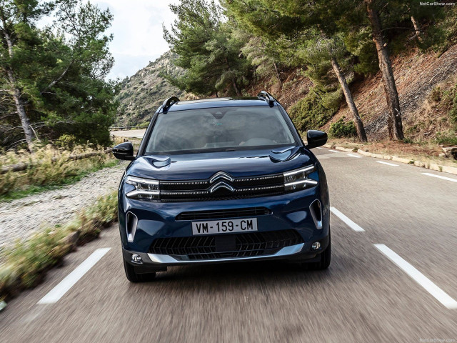 citroen c5 aircross pic #201067