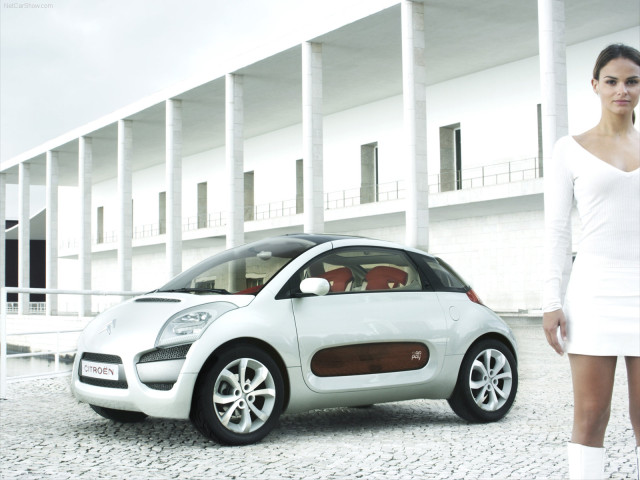 citroen c-airplay pic #29984