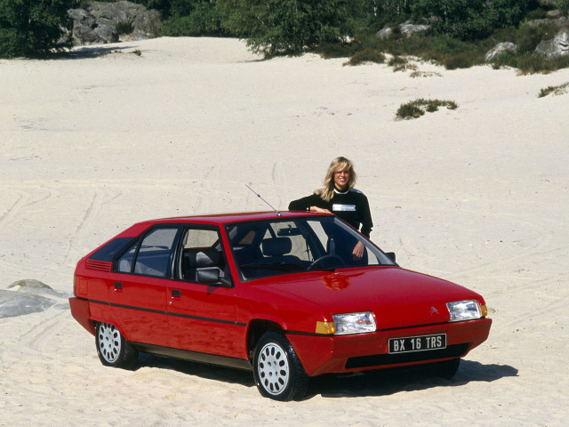 citroen bx pic #82653