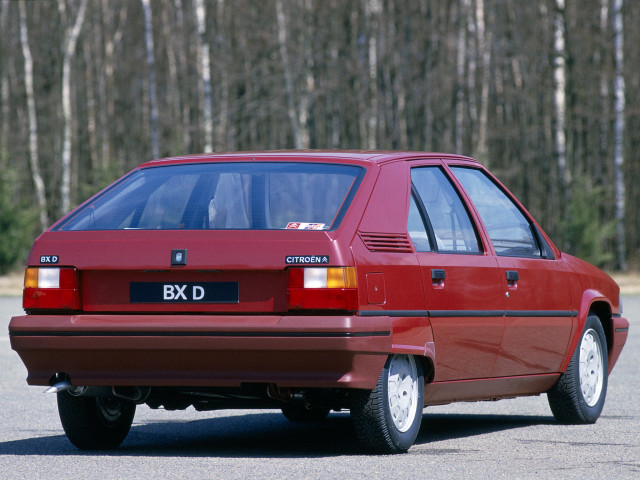 citroen bx pic #82782