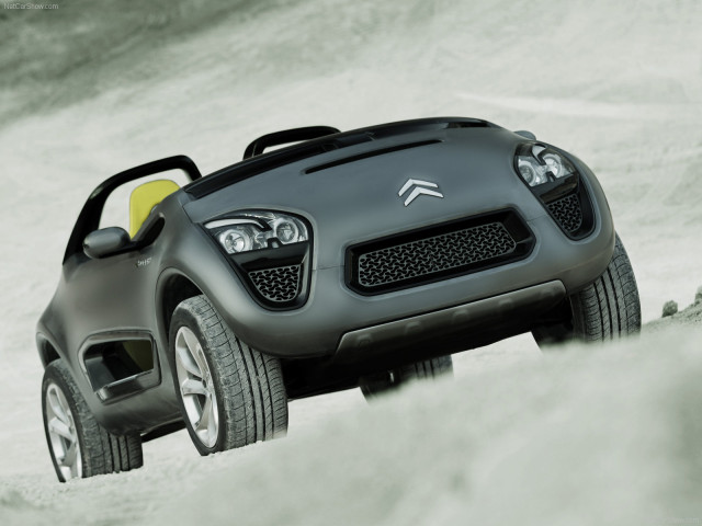 citroen c-buggy pic #83107