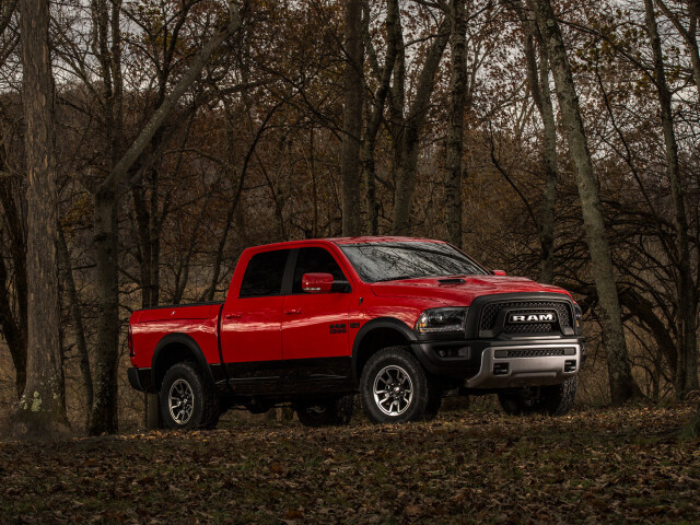 Dodge Ram 1500 IV (DS/DJ) photo 135936