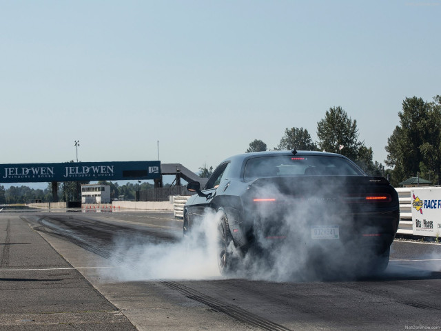 dodge challenger srt hellcat pic #143607