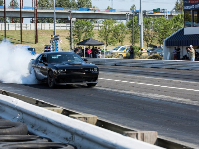 dodge challenger srt hellcat pic #143624