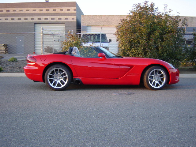 dodge viper srt-10 pic #14723