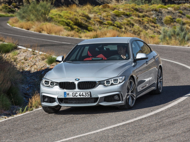 bmw 4-series gran coupe pic #107494