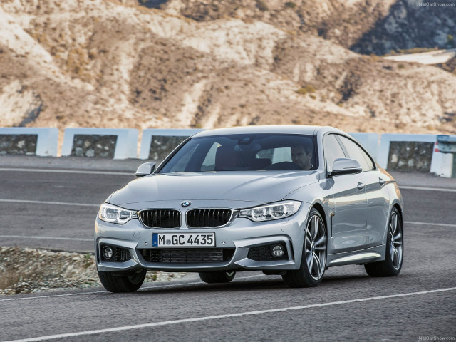 bmw 4-series gran coupe pic #107502