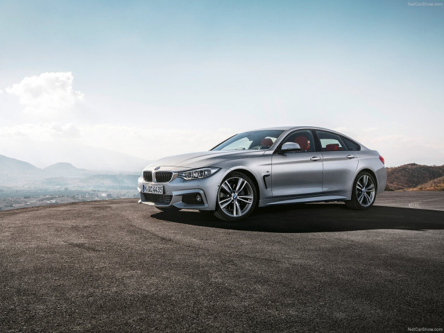 bmw 4-series gran coupe pic #107506