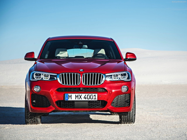 bmw x4 pic #111494