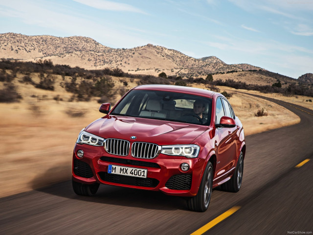 bmw x4 pic #111506