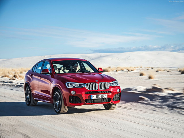 bmw x4 pic #111509