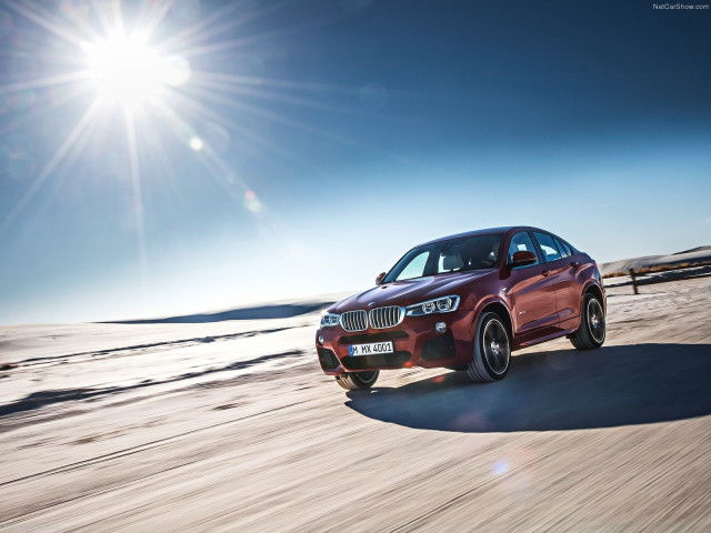 bmw x4 pic #111510