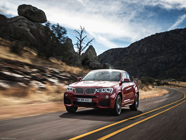 bmw x4 pic #111512